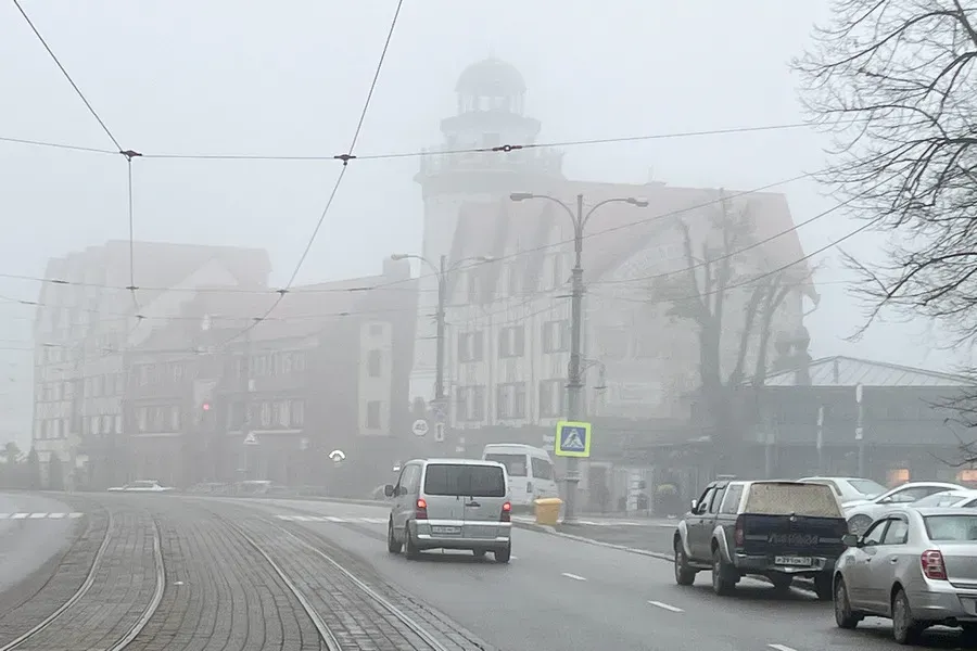 Погода в Калининграде 29 декабря