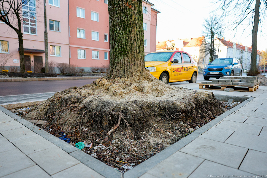 Коренные изменения: как выглядит сегодня благоустройство ул. П. Морозова (фото)