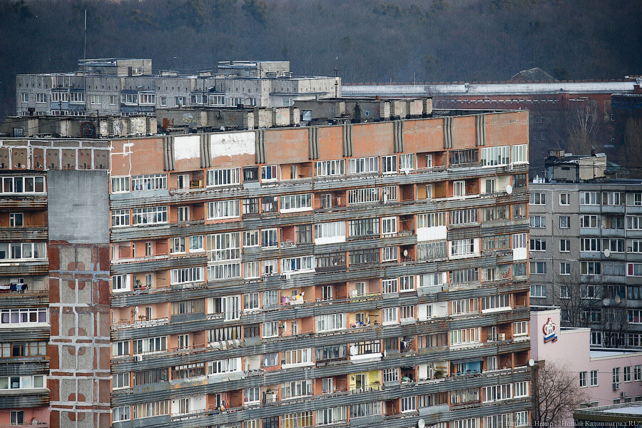 Дятлова: загонять в муниципальную управляющую компанию никого не будут