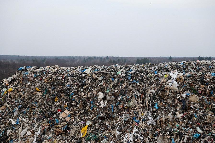 Алиханов: кабмин выделяет деньги на рекультивацию свалок в Советске и Черняховске