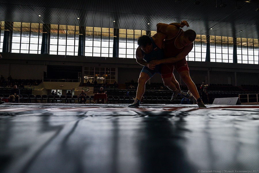 Крючки, узлы, обвивы: в Калининграде проходит чемпионат России по борьбе спорта глухих