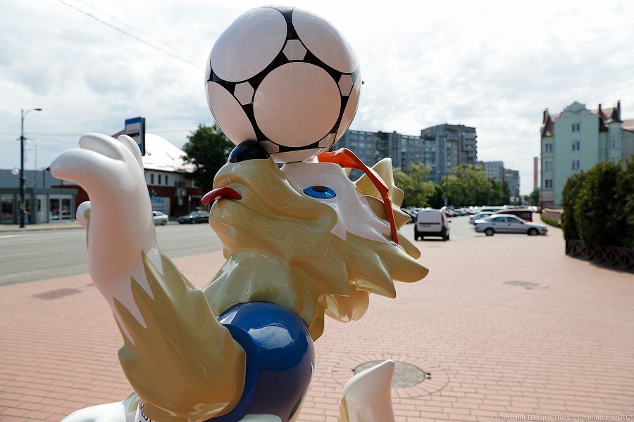 Футбольная сборная России вновь улучшила показатели в рейтинге ФИФА