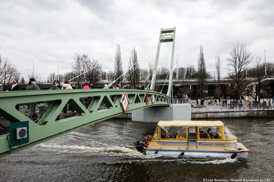От музея до острова: как в Калининграде открывали Философский мост (фото)