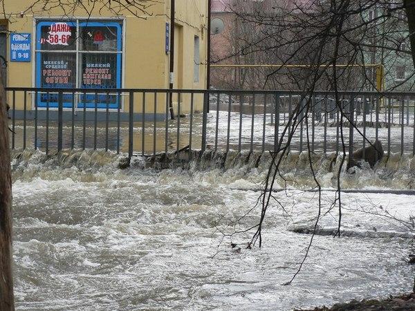 "Большая вода": фоторепортаж читателей "Нового Калининграда.Ru"