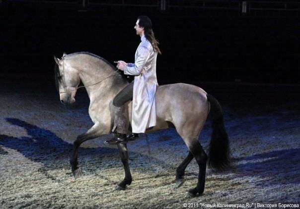 Магия конного шоу "Fabuloso": фоторепортаж "Афиши Нового Калининграда.Ru"