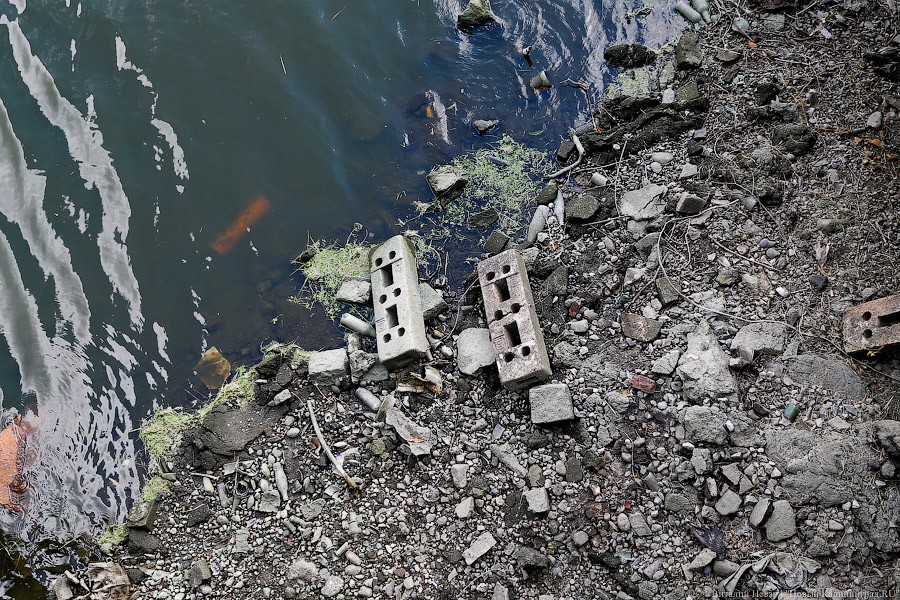 ВОЗ: 2 млрд людей пьют воду с фекалиями