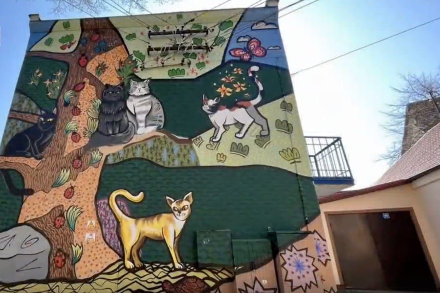 В подстанции в Зеленоградске нарисовали граффити с котами (видео)