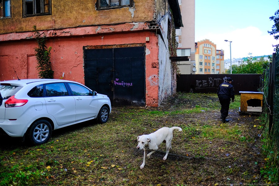В Калининграде инвестор готовится к сносу пристройки к Дому пожарных (фото)