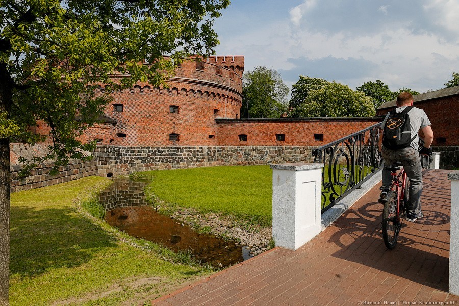 Виталий Невар / Новый Калининград