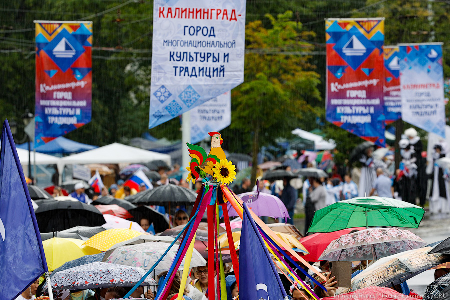 Праздник под дождем: как в Калининграде прошел День города (фото)
