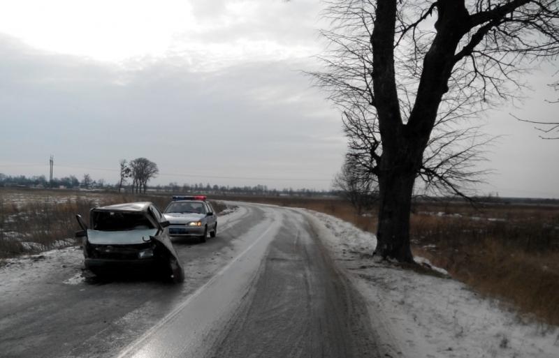 В Полесском районе в ДТП пострадал водитель «Опеля», врезавшегося в дерево (фото)