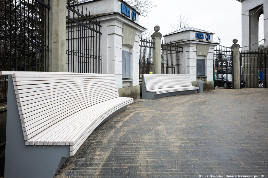 В трех соснах: как выглядит благоустроенная территория у стадиона «Балтика» (фото)