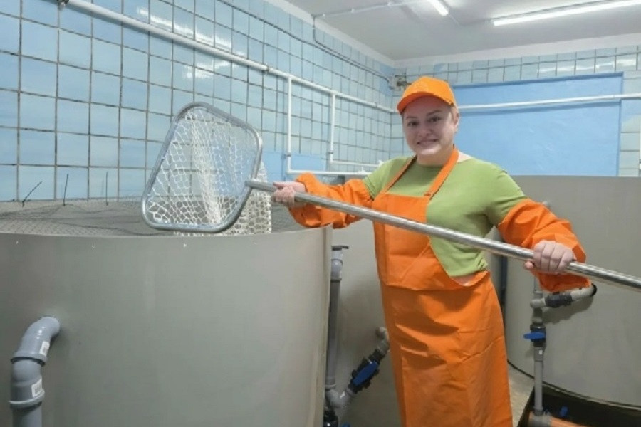 В Багратионовском районе заработало предприятие по выращиванию форели и осетра