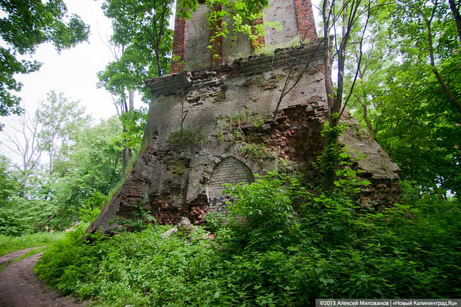 Легенды и лягушки: кирха в поселке Ново-Московское обрастает мхом и преданиями