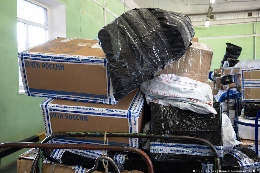 «Почта России» подсчитала, сколько посылок отправляют и получают жители Калининграда 