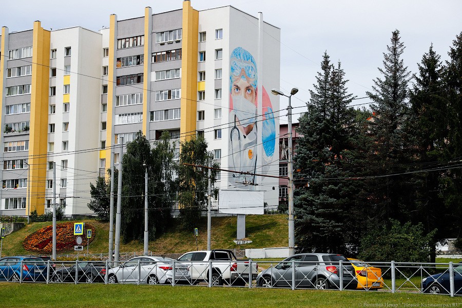 В Калининграде на фасаде девятиэтажки нарисовали врача в маске (фото)