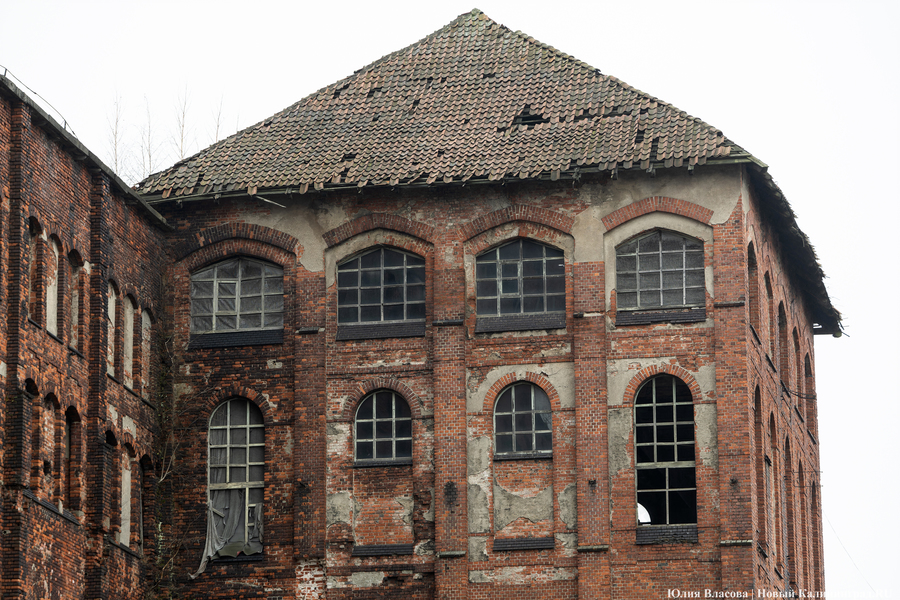 Постапокалиптический пейзаж: что происходит с территорией бывшего ЦБЗ-1 (фото)