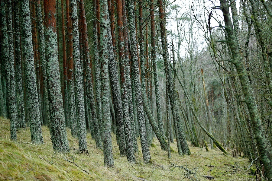 Минприроды хочет создать на Виштынце особо охраняемый памятник природы «Валун»