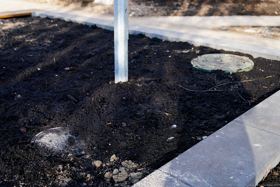 Как выглядит обновленная пешеходная зона на улице Рокоссовского без снега (фото)