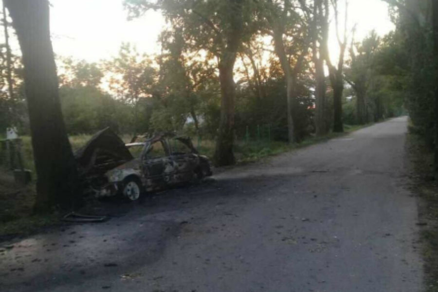 Водитель выпрыгнул из салона горящей машины, затем она врезалась в дерево (фото)