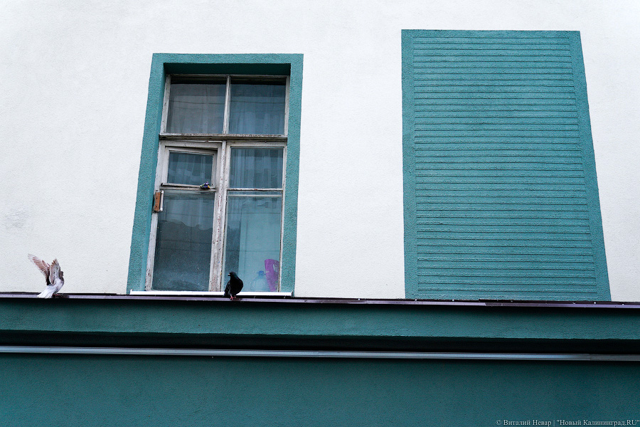 В Калининграде завершается капремонт исторического дома с аркой на ул. Багратиона (фото)