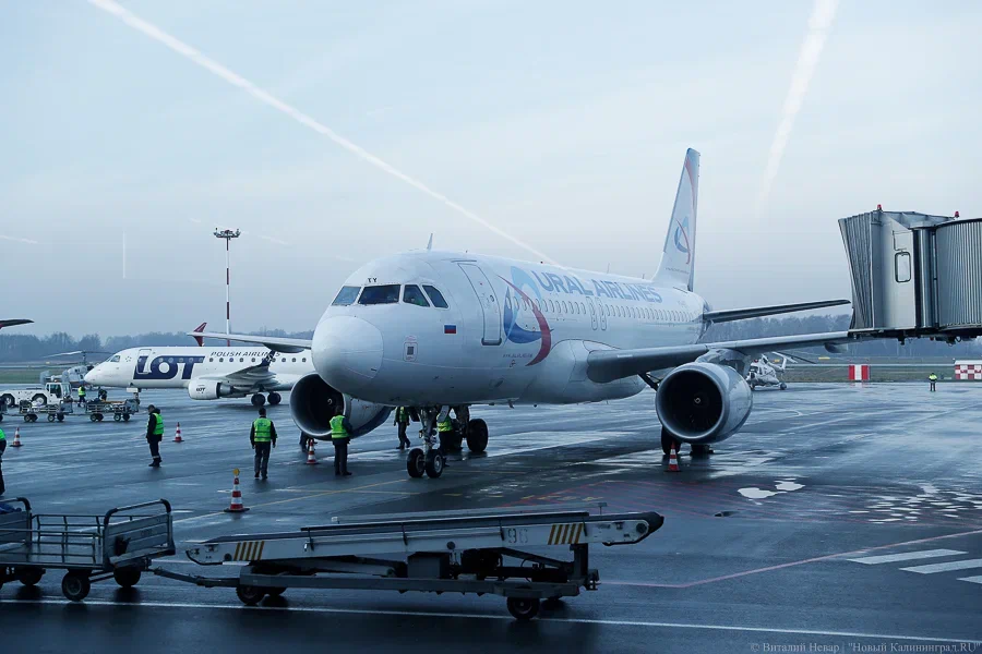 Аэропорт Шереметьево временно закрыли на прилет самолетов из-за непогоды