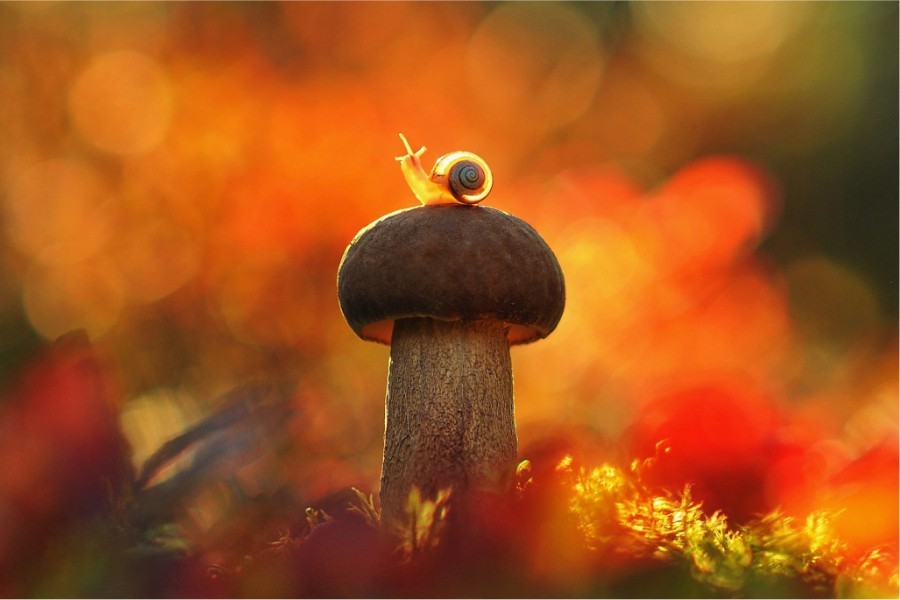 Уролог-андролог: «Отсутствие утренней эрекции — не повод для беспокойства»