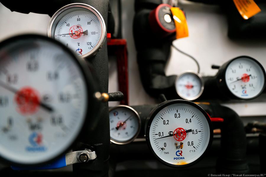 Фото Виталия Невара, «Новый Калининград.Ru»