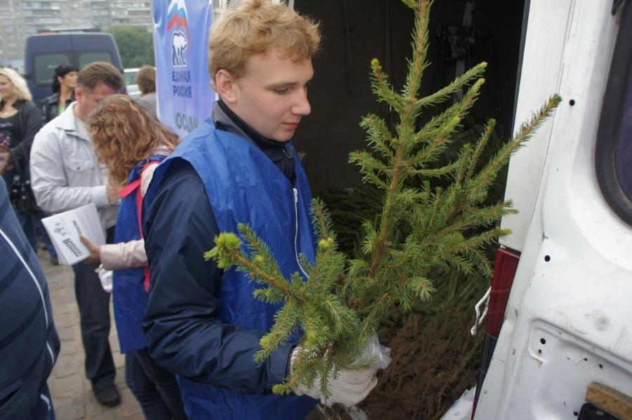 «Елки-палки»: фоторепортаж «Нового Калининграда.Ru»