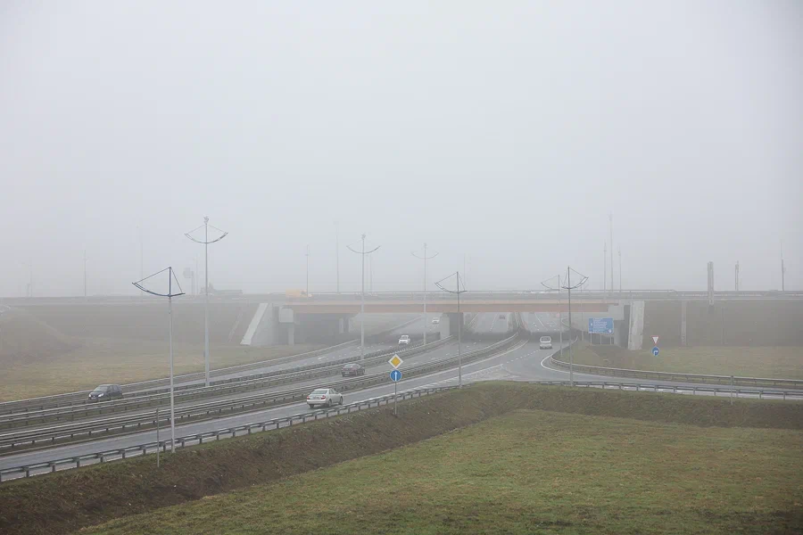 Низкая видимость из-за тумана: погода в Калининградской области 1 апреля