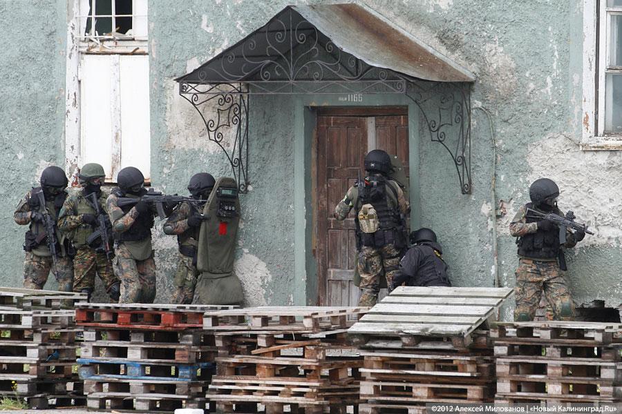 «Под флагом Башара»: фоторепортаж с антитеррористических учений