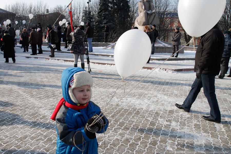 «Шарик лопнул»: фоторепортаж «Нового Калининграда.Ru»