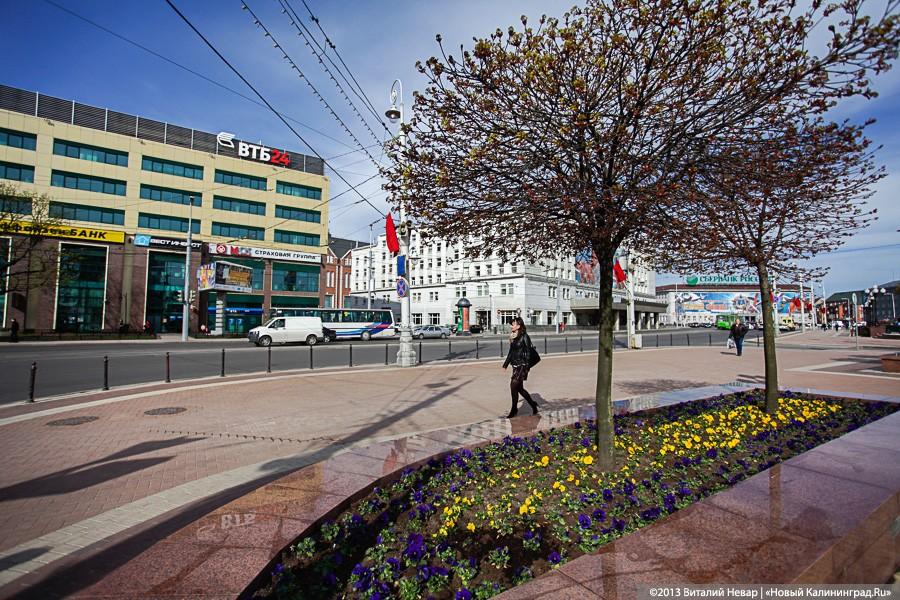 «Разноцветный Первомай»: по центру Калининграда прошли единоросы и коммунисты (+фото)