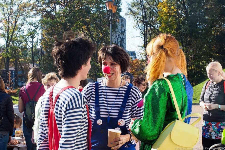 Традиционное осеннее добро: как прошел Благотворительный фестиваль шарлотки