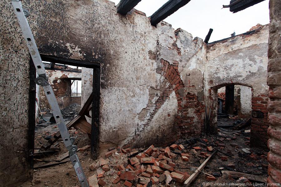 «Шаакен, волонтеры и кот Воровай»: фоторепортаж «Нового Калининграда.Ru»