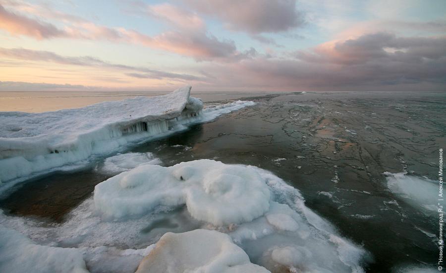 "Сцены у моря": фоторепортаж "Нового Калининграда.Ru"