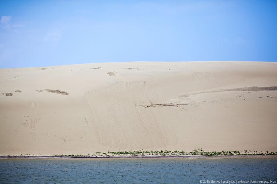Фото - Денис Туголуков, «Новый Калининград.Ru» 