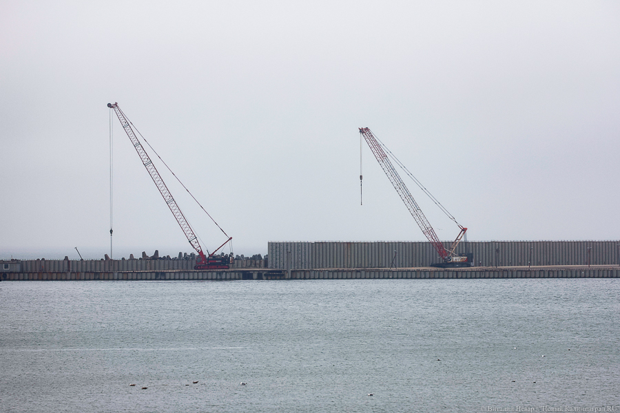 Генподрядчик порта в Пионерском не нашел, кому отдать большую часть контракта 
