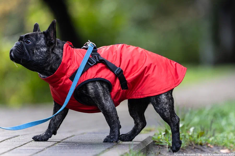 В регионе впервые за полтора года побит рекорд по минимальной температуре