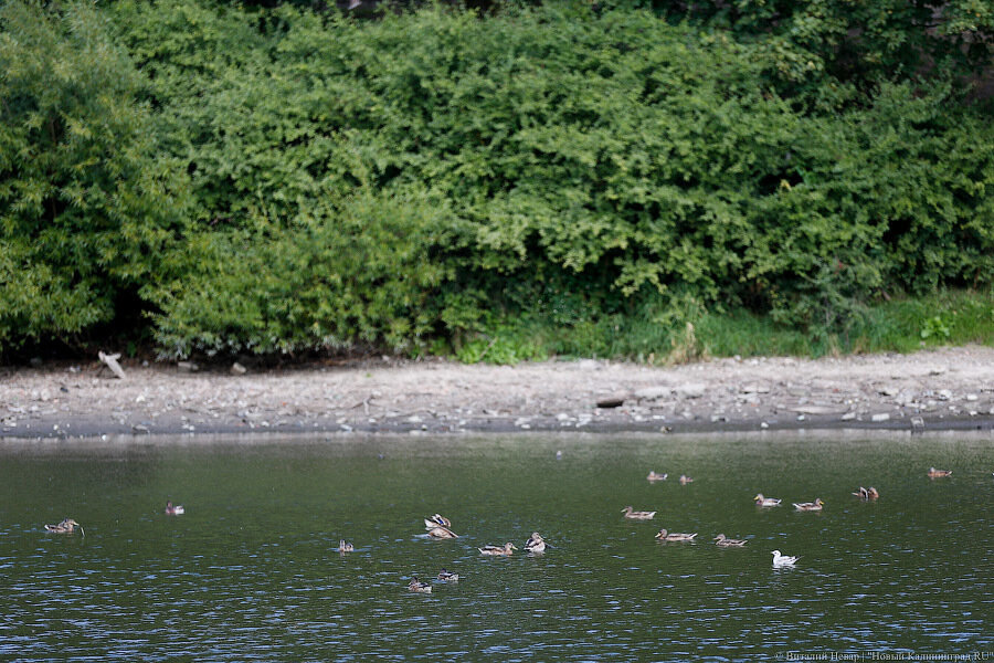 Под Багратионовском погиб пожилой рыбак