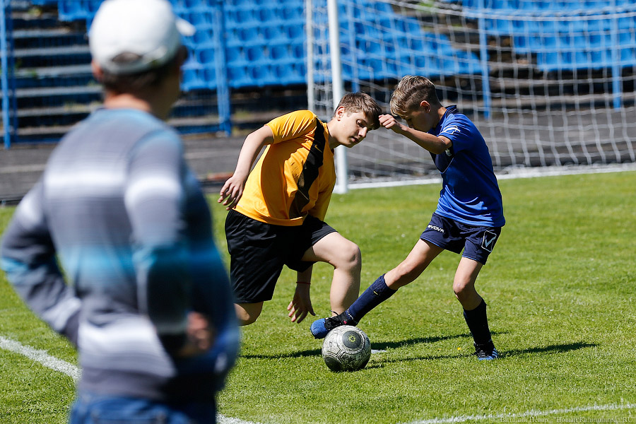 Год в свои ворота: калининградцы торжественно ждут ЧМ-2018