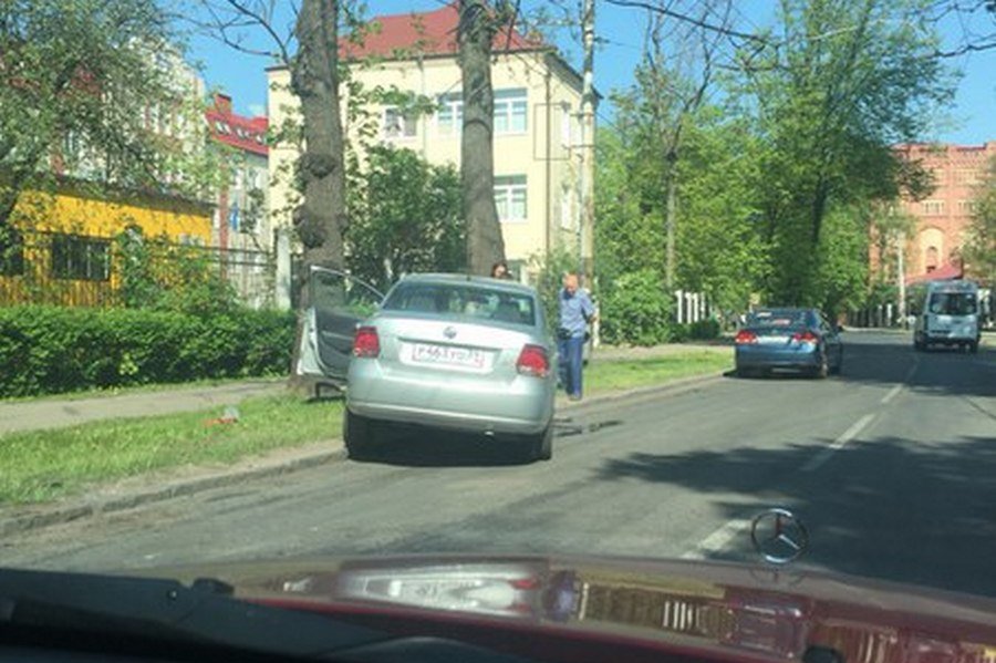 На Советском проспекте легковушка въехала в дерево (фото)