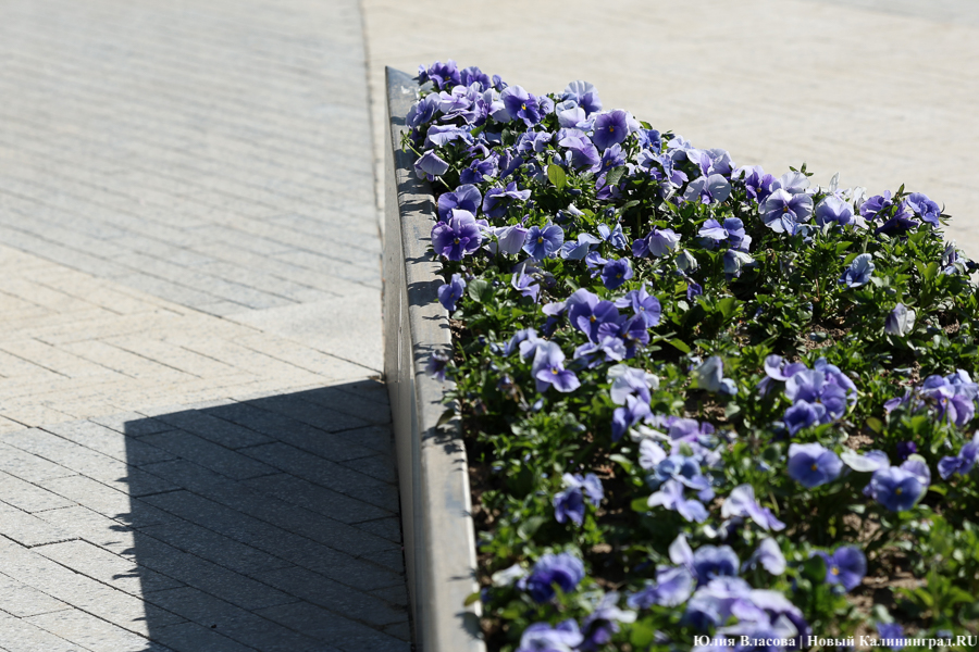 На площади у Дома искусств завершается благоустройство. Вот как она выглядит (фото)