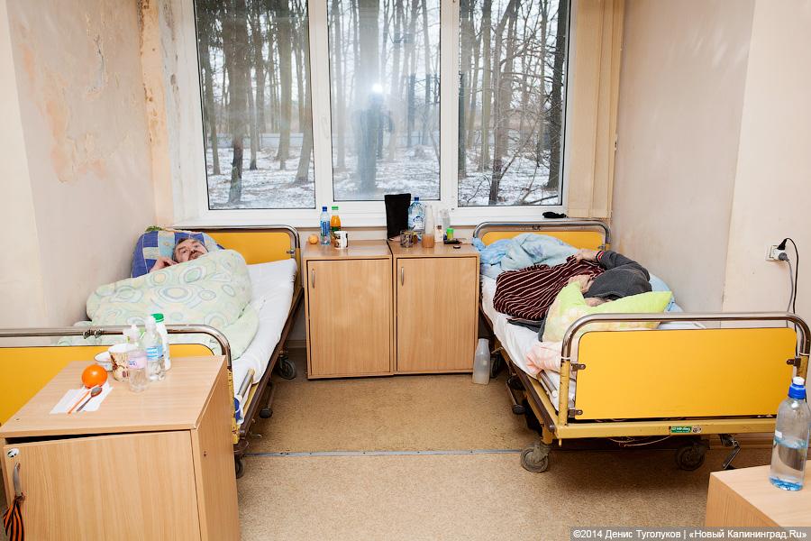 Доктор Лиза о хосписе в Калининграде: «Я в ужасе от вашего правительства»
