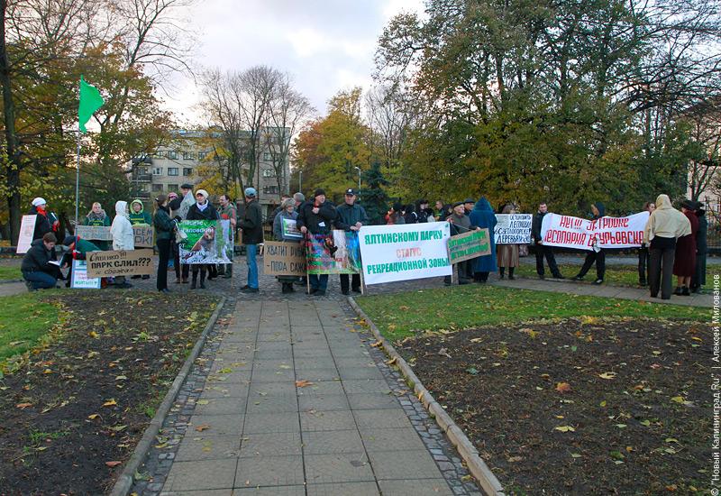 Защитники зеленых зон потребовали открытости со стороны властей