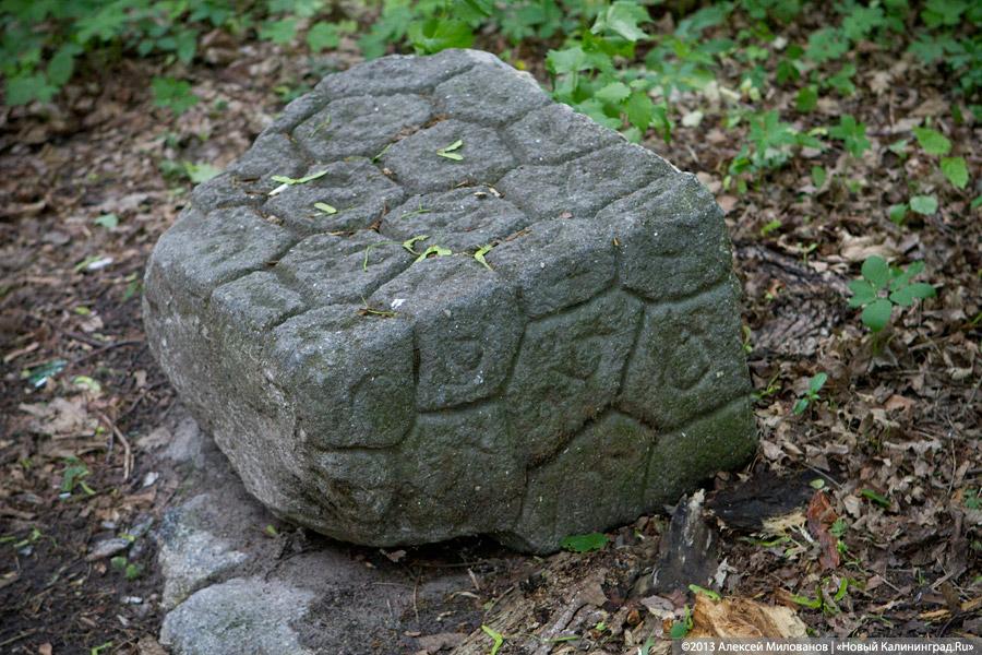 Без окон и дверей: законсервированная Кирха в Домново начала разрушаться