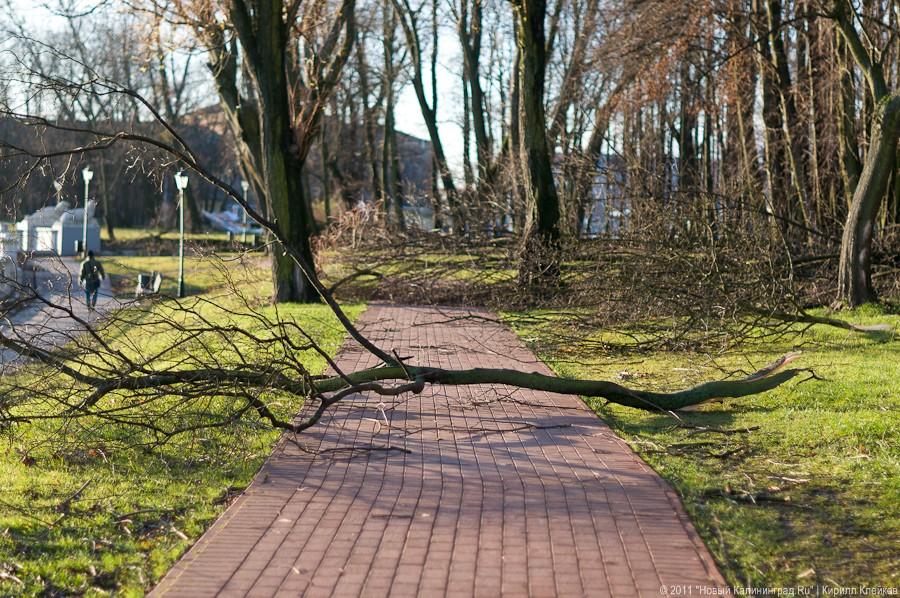 «А поутру они проснулись»: фоторепортаж «Нового Калининграда.Ru»