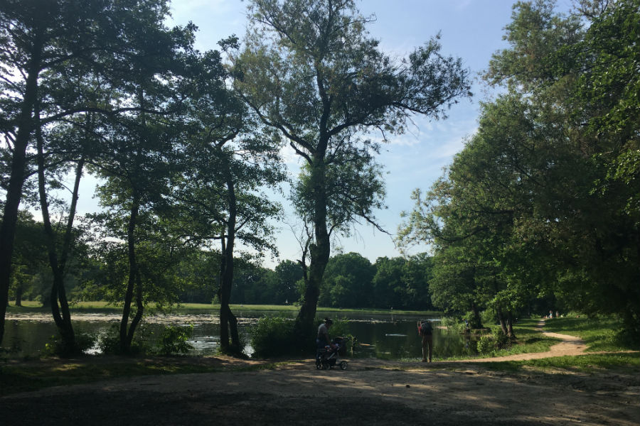 Алиханов опасается, что принято решение «потихонечку поджирать» Макс-Ашманн парк