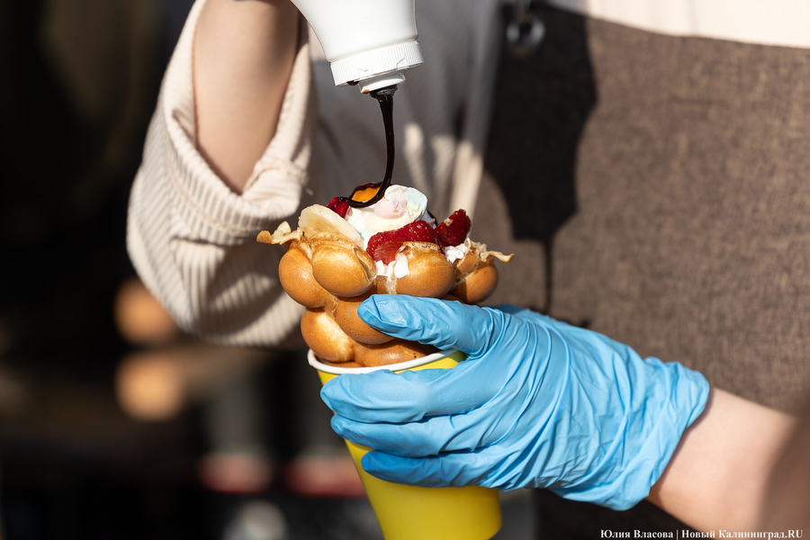 И рыба, и мясо: в Зеленоградске открылся гастрономический «Фиштиваль» (фото)