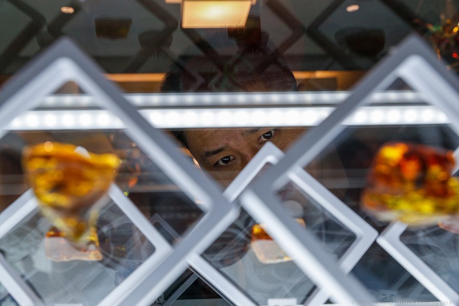 Янтарная козявка: чем закончились первые в Калининграде торги по инклюзам (фото)